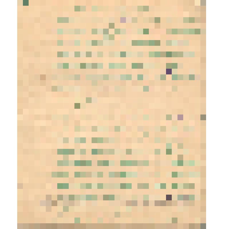 Воспоминания М.В. Голева о Гражданской войне, партизанском движении