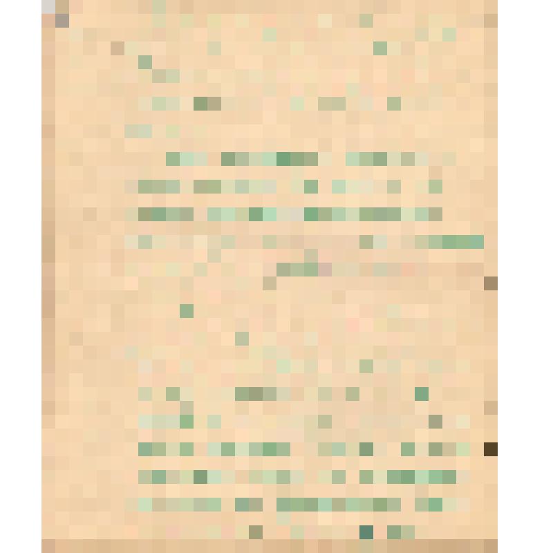 Воспоминания М.В. Голева о Гражданской войне, партизанском движении