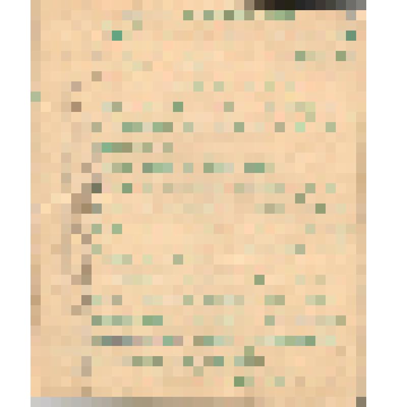 Воспоминания М.В. Голева о Гражданской войне, партизанском движении