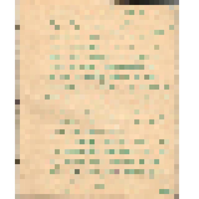 Воспоминания М.В. Голева о Гражданской войне, партизанском движении