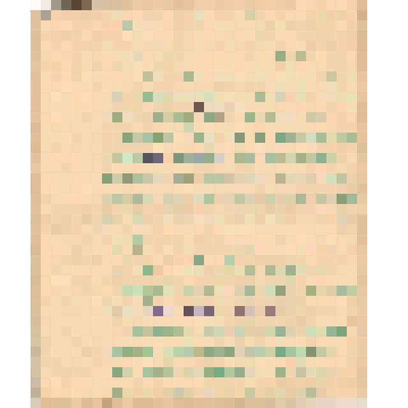 Воспоминания М.В. Голева о Гражданской войне, партизанском движении