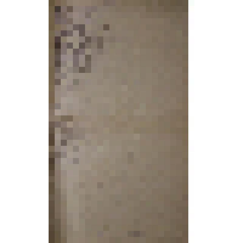 Воспоминания М.В. Голева о Гражданской войне, партизанском движении