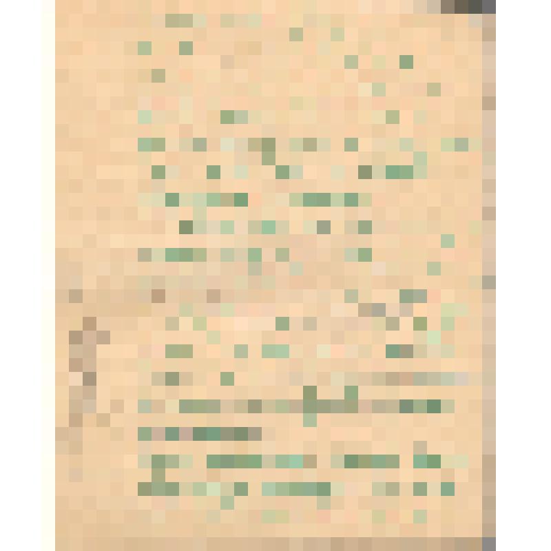 Воспоминания М.В. Голева о Гражданской войне, партизанском движении