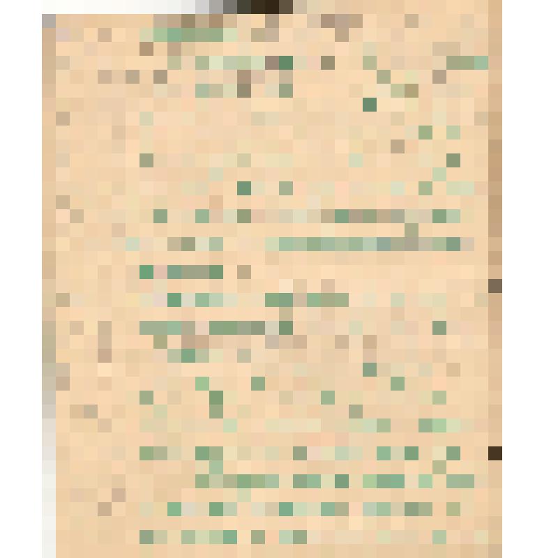 Воспоминания М.В. Голева о Гражданской войне, партизанском движении