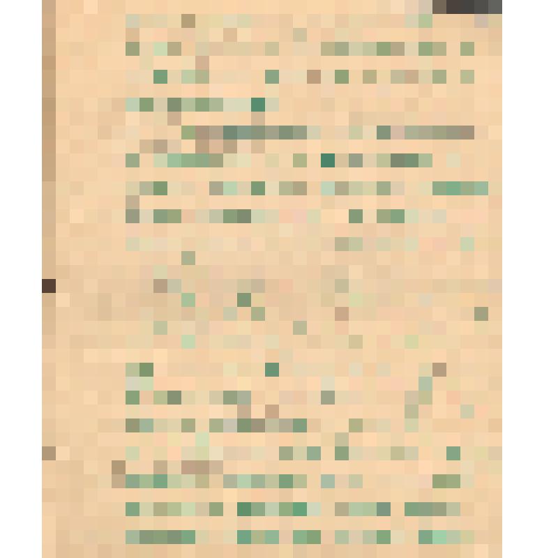 Воспоминания М.В. Голева о Гражданской войне, партизанском движении