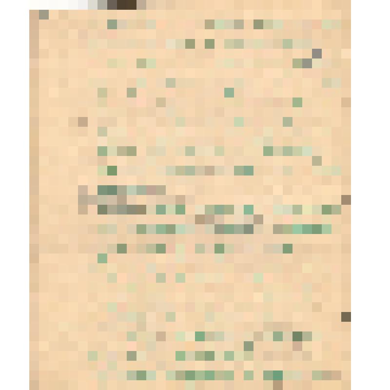 Воспоминания М.В. Голева о Гражданской войне, партизанском движении