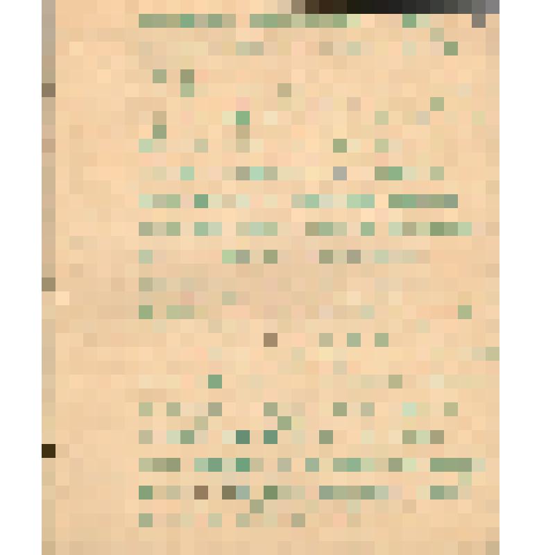 Воспоминания М.В. Голева о Гражданской войне, партизанском движении