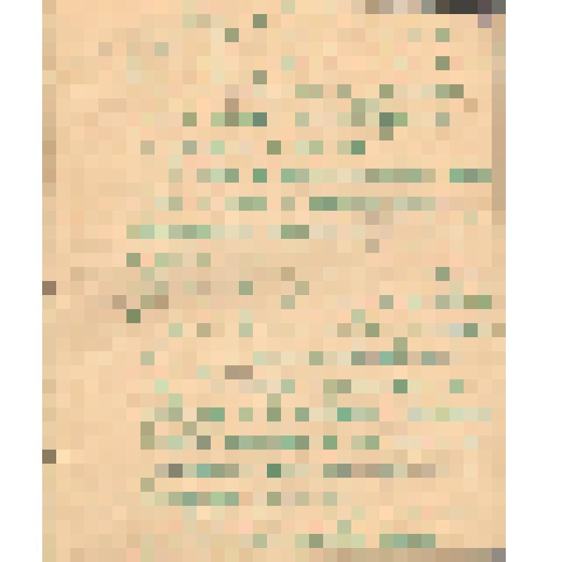 Воспоминания М.В. Голева о Гражданской войне, партизанском движении