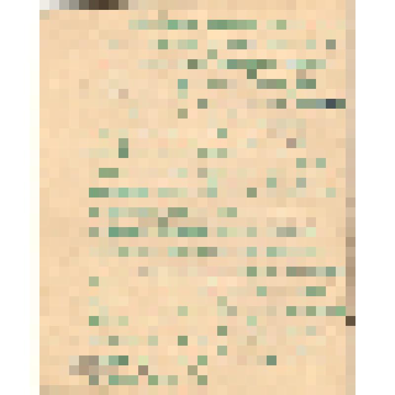 Воспоминания М.В. Голева о Гражданской войне, партизанском движении