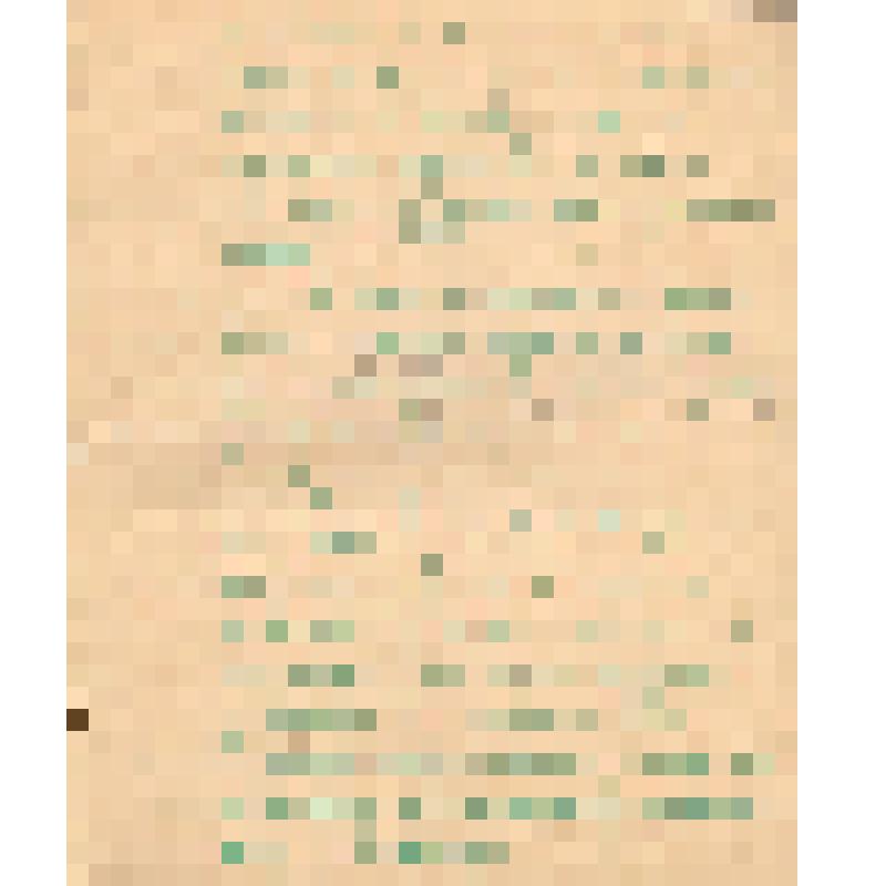 Воспоминания М.В. Голева о Гражданской войне, партизанском движении