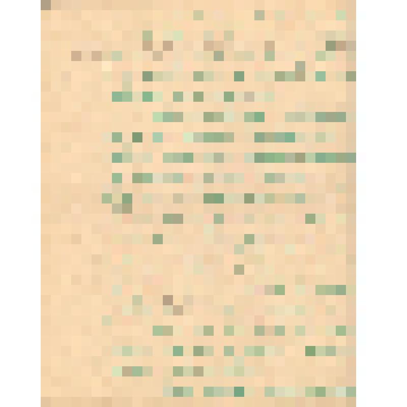 Воспоминания М.В. Голева о Гражданской войне, партизанском движении