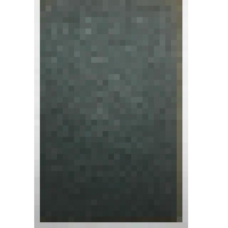 Книга. Происхождение и эволюция домашних животных. Типография треста "Полиграфкнига"