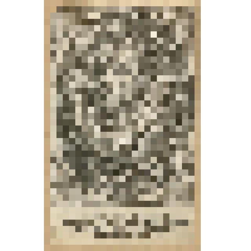 Амброзио Спинола-Дрия, 1-й маркиз де Лос-Бальбасес, 1-й герцог Сеста, фонд западноевропейского  гравированного портрета