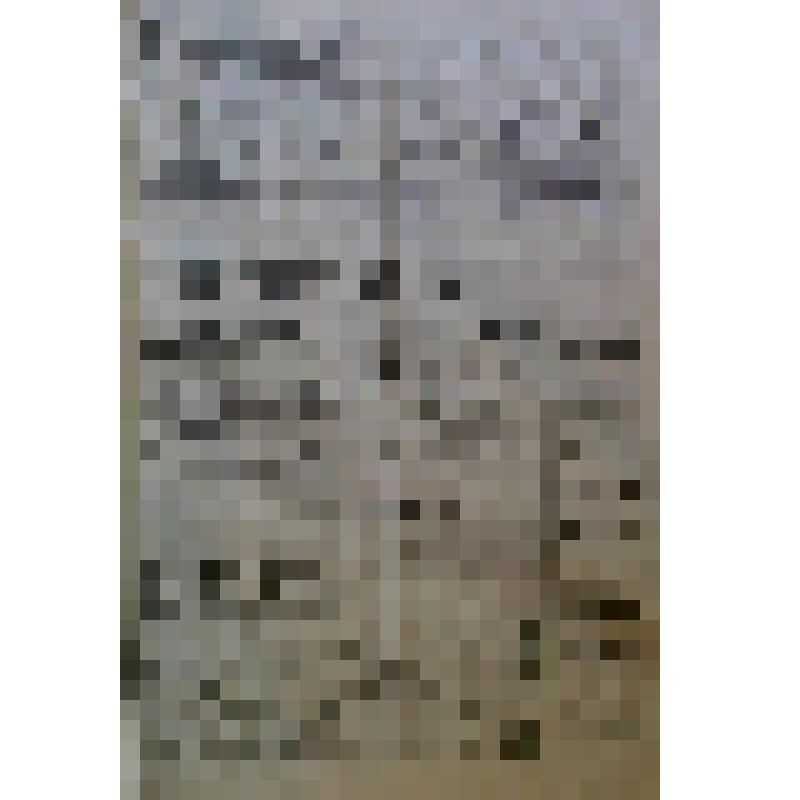 Газета «Прикамская жизнь» за 1912 год, , №207 от 16.09.1912