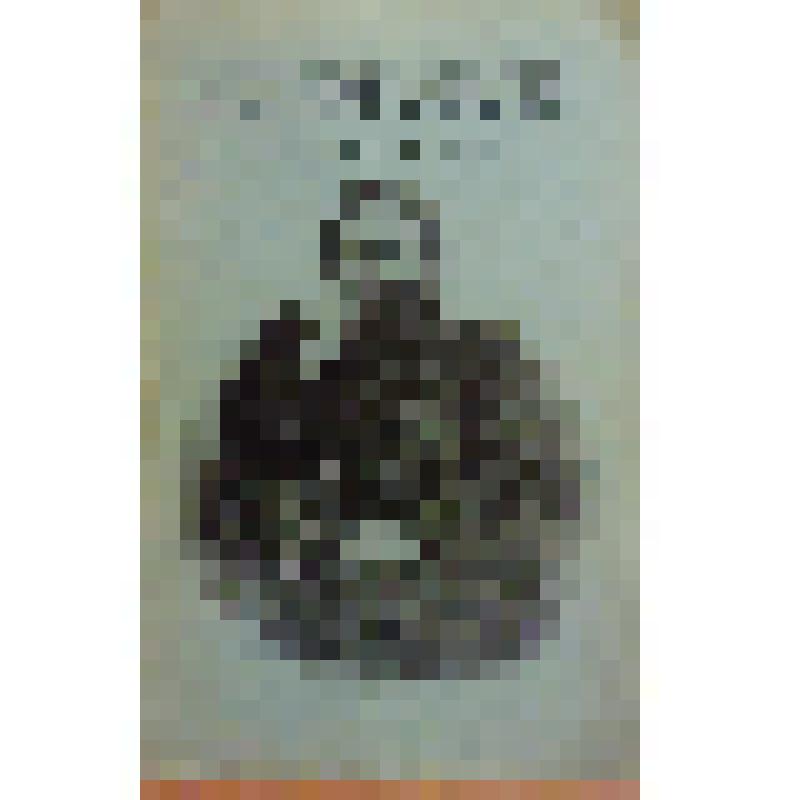 Книга. Суриков И.З. Песни горя-злосчастья [Text] / Издательство в книге не указано. - М. : Издательство "Посредник" (№ 186), 1899 (Типография Вильде)