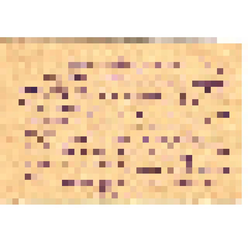 Почтовая карточка Симоненко А.Ф. 1943г