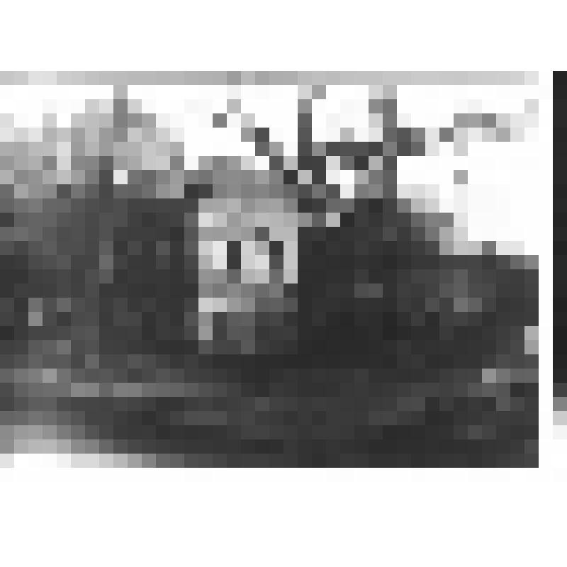 Фото. Бывшие купеческие дома по ул. Рабочей, №№ 101 и 103, построены в 19 в