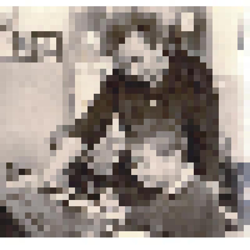 Фотография Локтионовой Антонины Афанасьевны