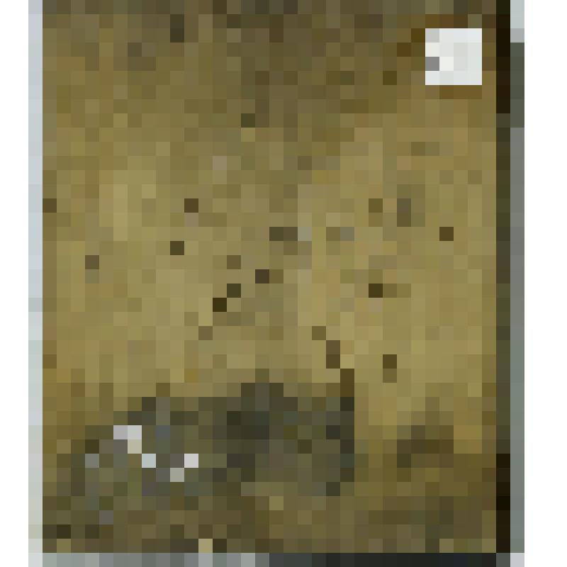 Богоматерь Знамение. Икона