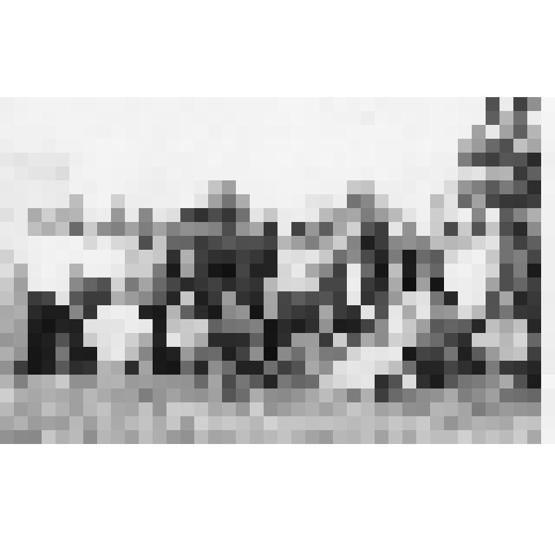 Фотография.  Ветераны труда колхоза имени Чапаева.   На фото мужчины пожилого возраста среди них двое маленьких девочек