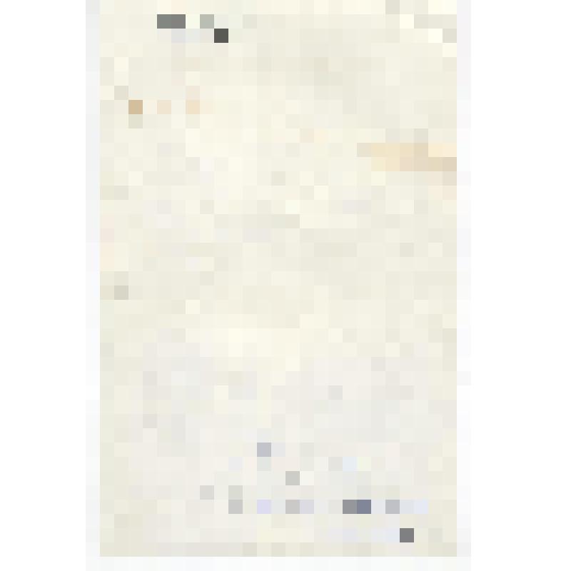 Фотография. Лихачёв Александр Тихонович