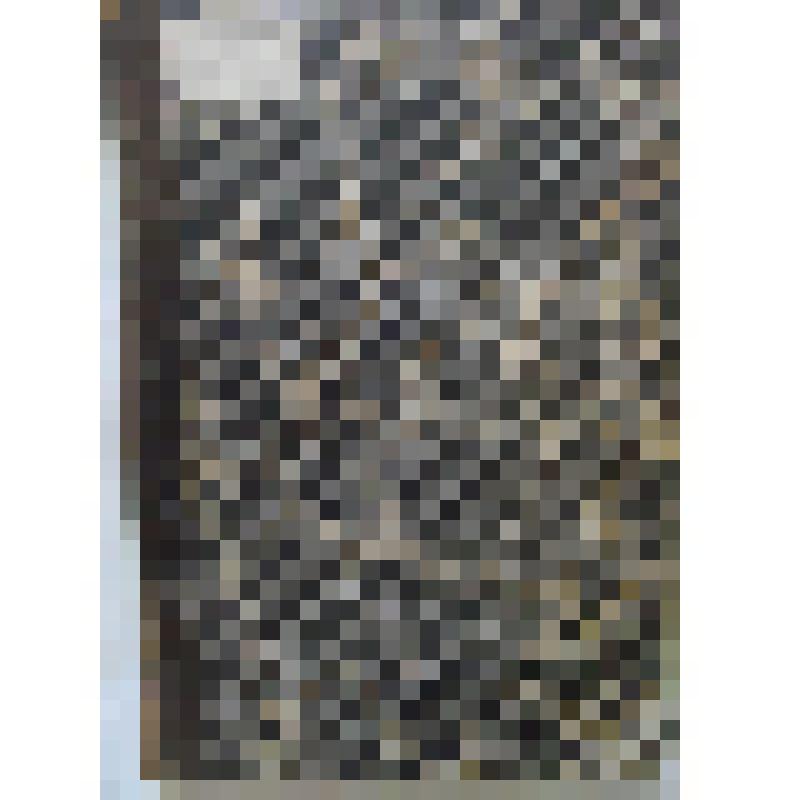 [Кирша Данилов. ] Древние российские стихотворения, собранные Киршею Даниловым. - М.:Типография А.А. Торлецкого и Ко, 1878. -  296 с