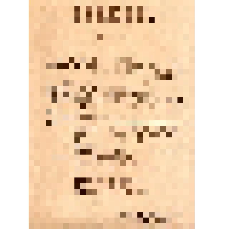 Военно-Революционный Комитет Западного фронта. Приказ N13