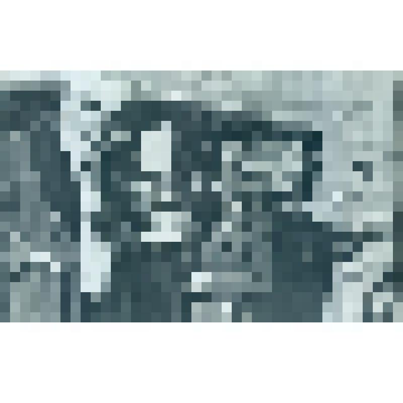 Анри Барбюс и его секретарь Аннет Видаль. Москва. 1934 г