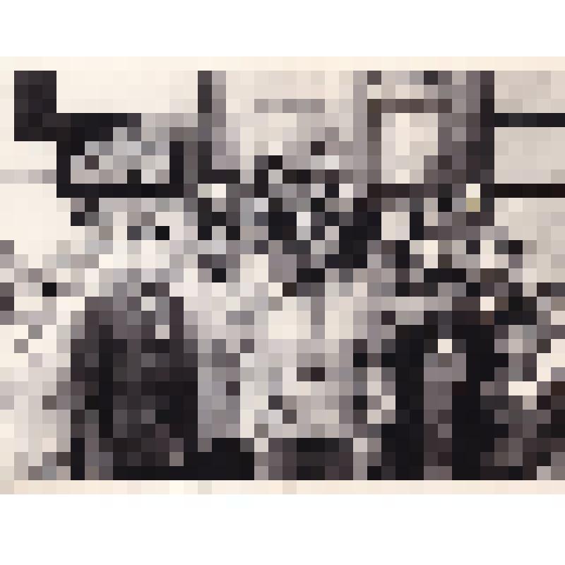 Фотография черно-белая, групповой снимок: «Учащиеся и учителя Аскизской средней школы с ветераном 309-ой стрелковой Пирятинской дивизии В.В. Белодедом. г. Киев. 1960-80-е гг.»