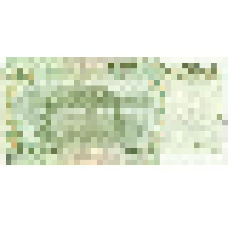1 юань. Денежный знак Китая. 1999г. (  Е9Р8 736938 )