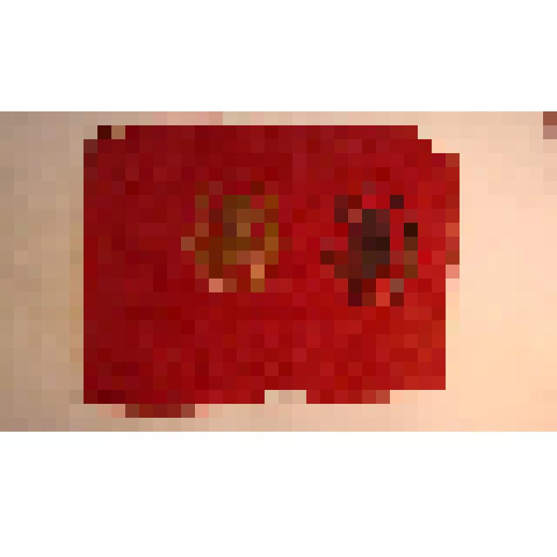 Два изображения   Л. Н. Толстого  (черное и золотое)  на тонкой красной глянцевой бумаге