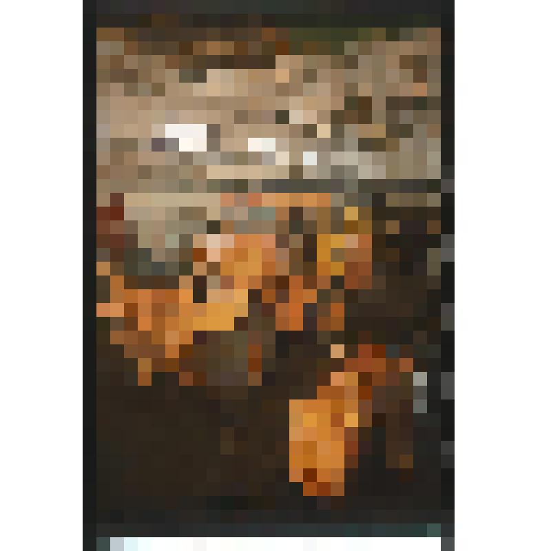 Диапозитив. Цех ремонта "Кировец"