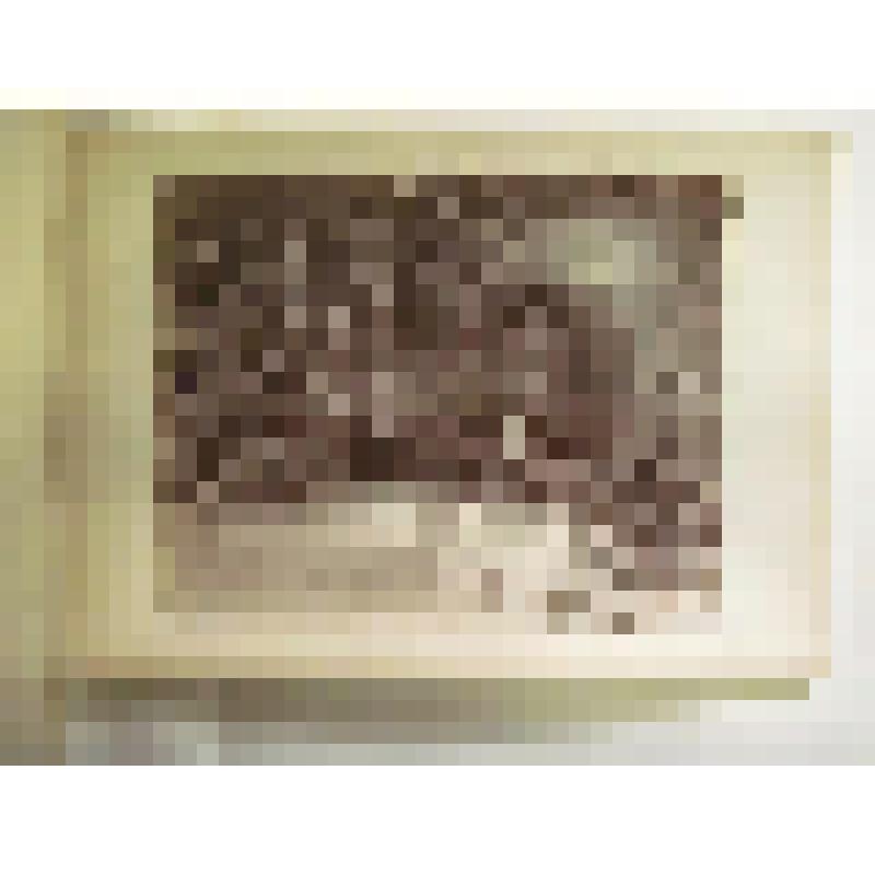 Коллегия дель Камбио. 1497 г. Италия. Перуджа. Коллегия дель Камбио. Интерьер. Изд. Алинари