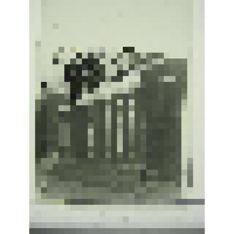 Усадьба управляющего Кусинским заводом. Главный дом. улица Андроновых, 13. 1895 г., 1909 г. Челябинская  обл., Кусинский р-н, г. Куса. Усадьба управляющего Кусинским заводом, улица Андроновых, 13. 1895 г., 1909 г. Тележников Ф. А. Фрагмент ограды вдоль ул