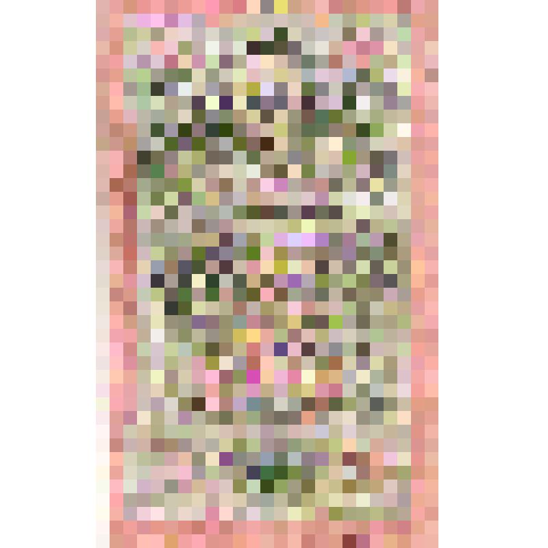 Государственный кредитный билет 10 рублей. 1909 г