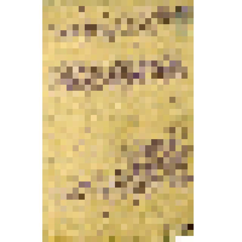 Письмо из Петербурга