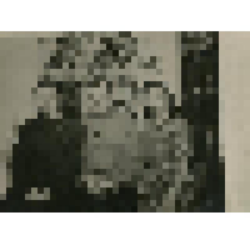 Фото. Никулин Петр Иванович с женой Ольгой Ивановной и приемной дочерью