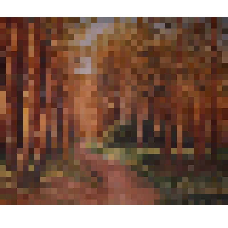 Картина. "Дорога в лесу". Гришин Л. И