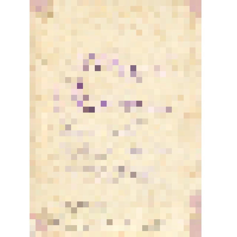 Фотография. Портрет участника Великой Отечественной войны Семененко Г.Н