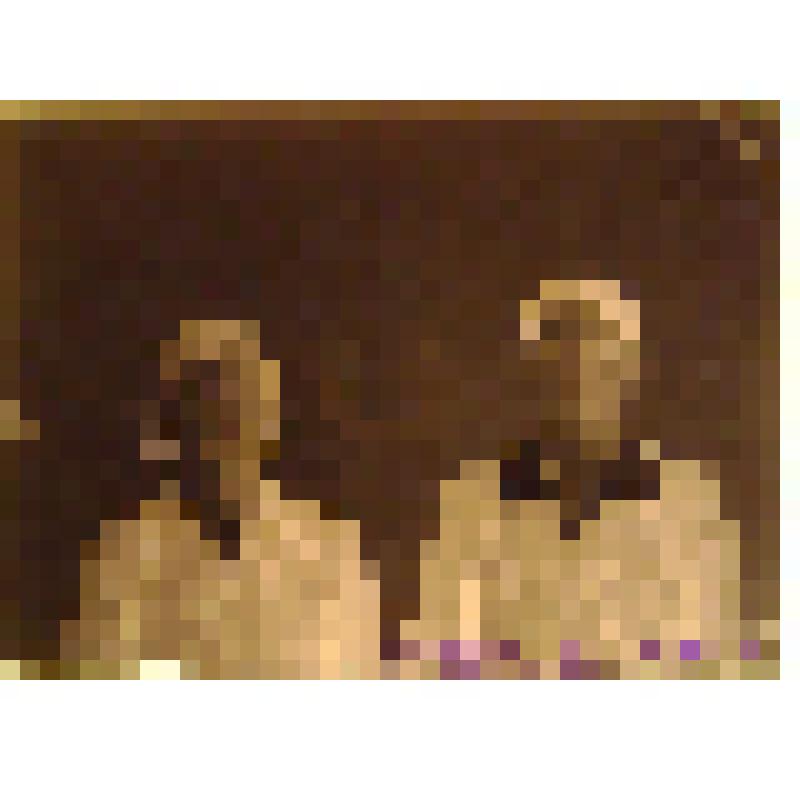 Негатив. Портрет парный погрудный молодых женщин