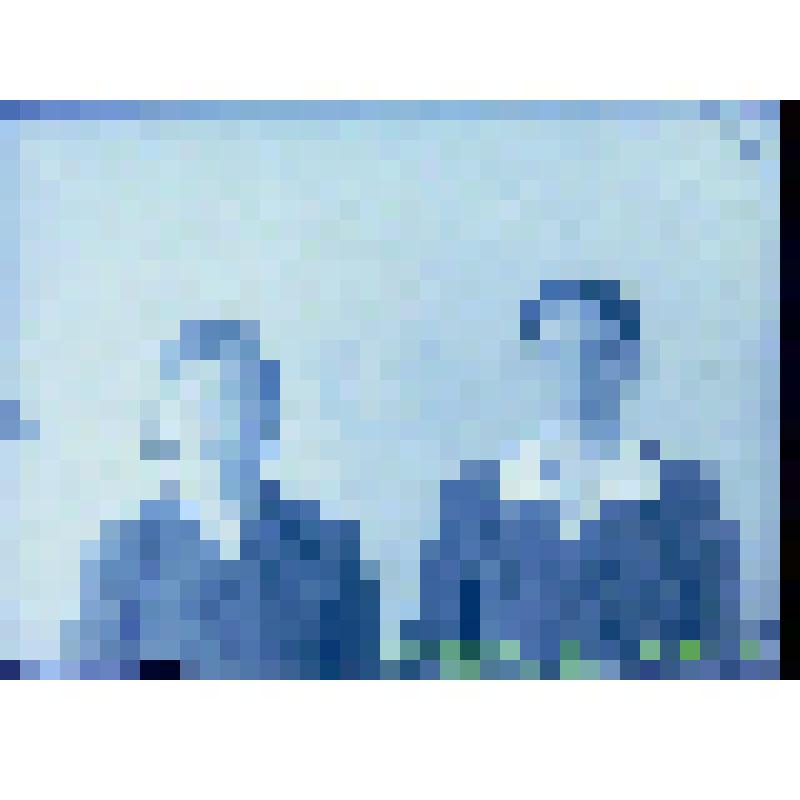 Негатив. Портрет парный погрудный молодых женщин