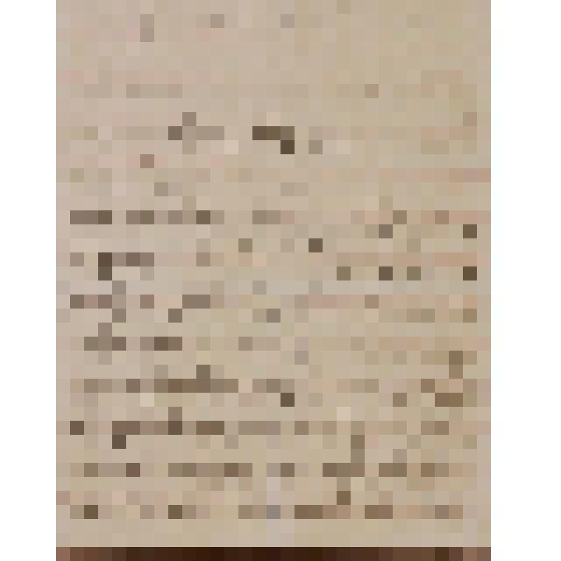 Зоммер А.А. Письмо Островскому А. Н. о своей пьесе "Блуждающие силы"