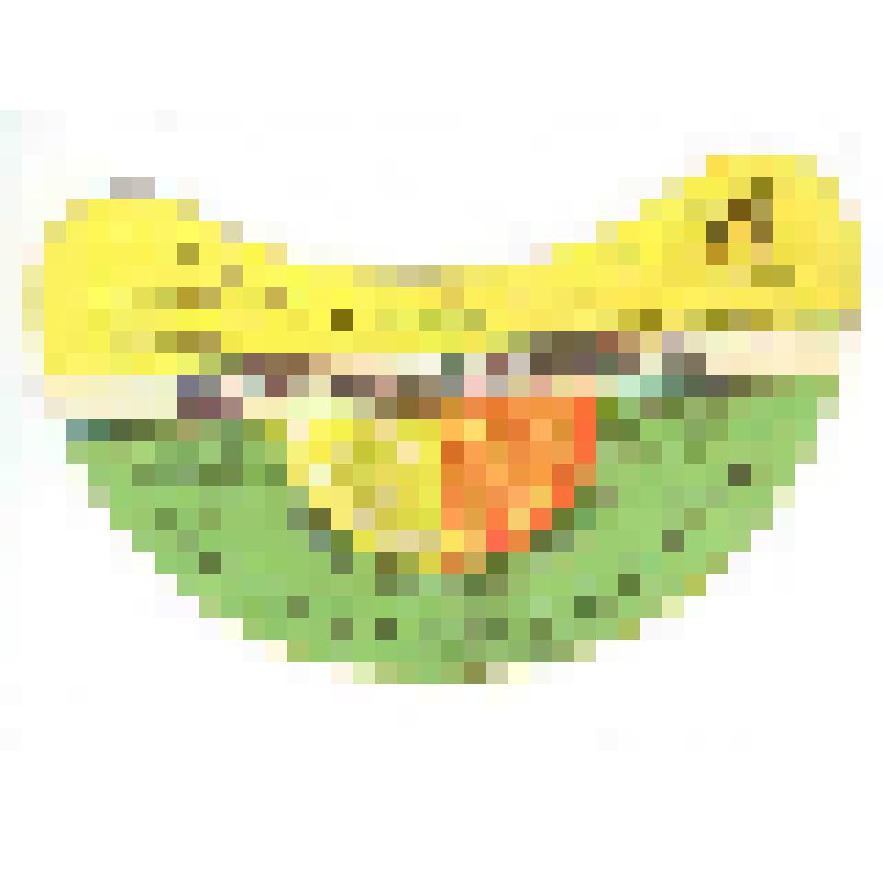 Кольеретка-этикетка горловая к напитку «Цитрусовый» производства Киевского ПО по выпуску безалкогольных напитков, из коллекции кольереток – этикеток горловых к безалкогольным напиткам