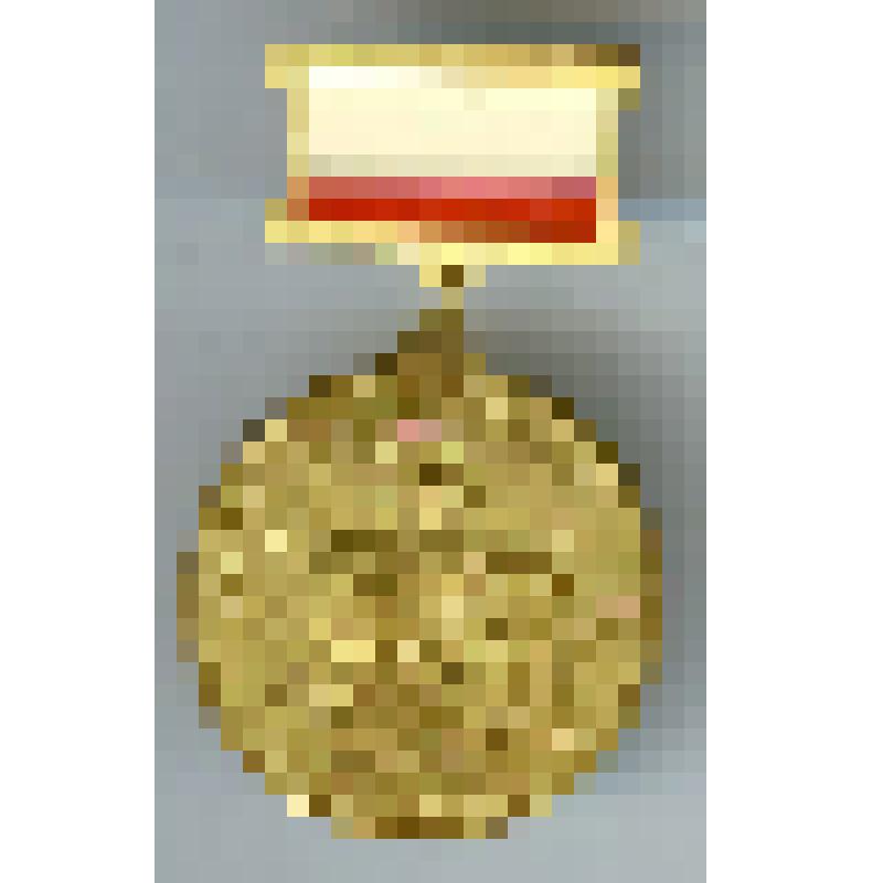 Знак нагрудный наградной «Труженику тыла 1941-1945" Абрамова Н.В., участника трудового фронта Великой отечественной войны
