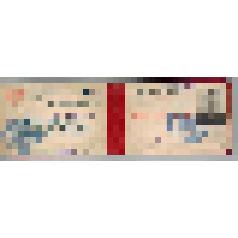 Депутатский билет на имя Комаровой А.И. № 337