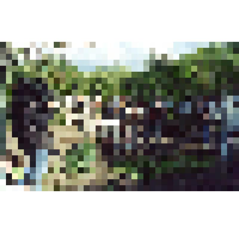 Тур и Жаклин Хейердал, археологи, студенты и представители телевидения на археологическом раскопе по ул.Дзержинского г.Азова