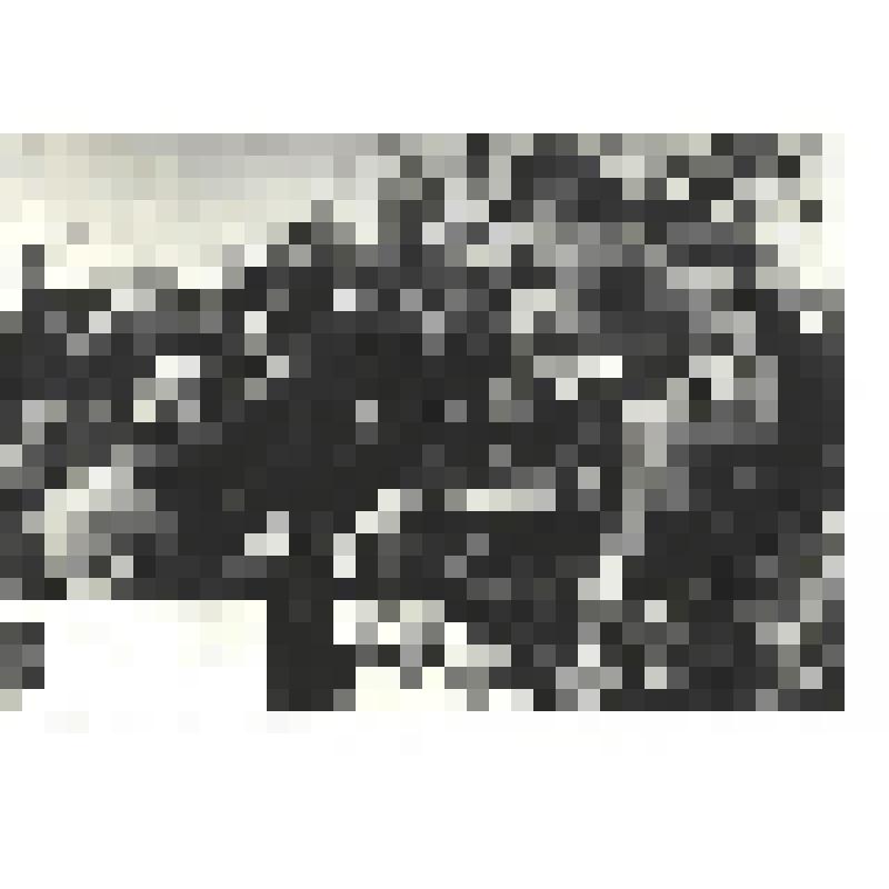 Фотографии. Фото ч/б. Поэты - военные корреспонденты: Константин Симонов и Алексей Сурков на фронте, осень 1941 г