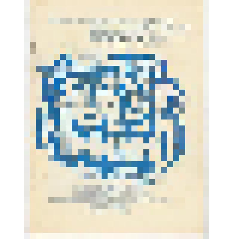 Программа спектакля В.А.Соллогуб "Беда от нежного сердца"