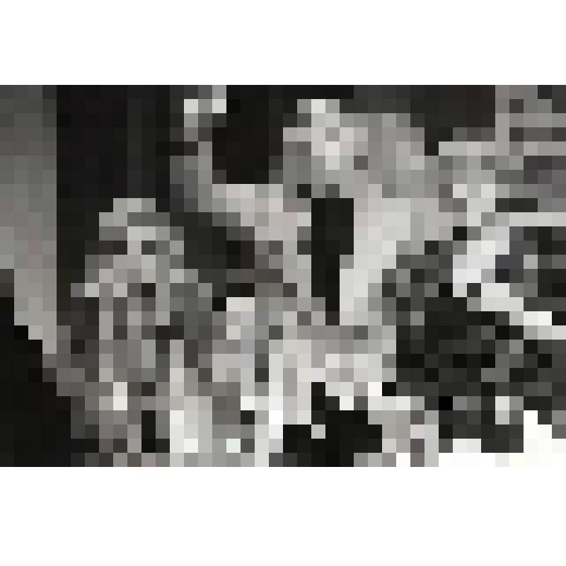 Негатив черно-белый. Вводы. Наташа - Вознесенская А.В.;  Лида - Добровольская Е.В.;  Миша - Любшин С.А.;  Катя - Лаврова Т.Е. "Мишин юбилей" (1994 - 2001)