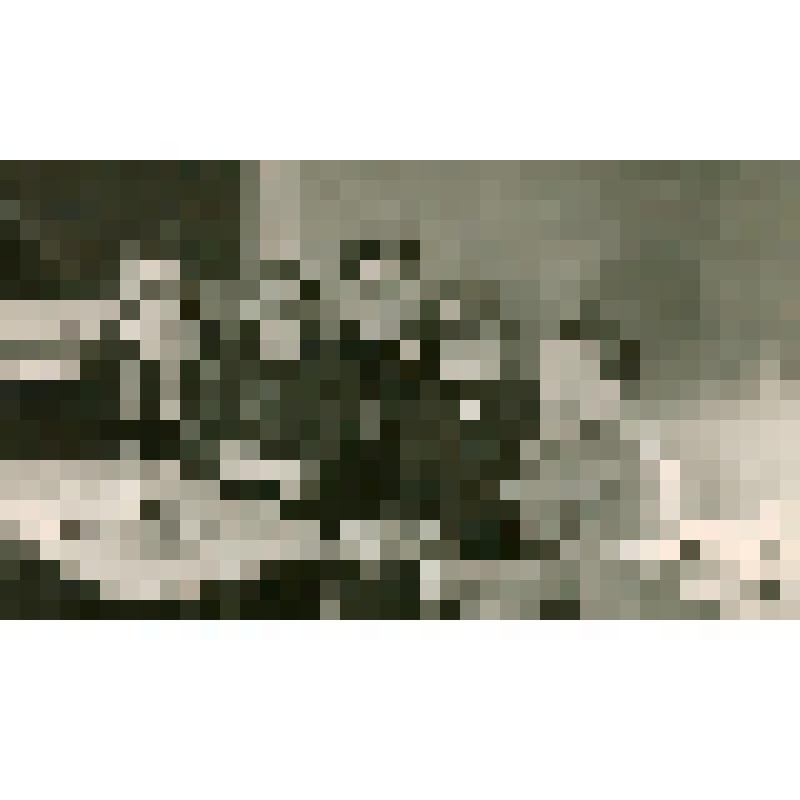 Фотография. Научно-методическая конференция